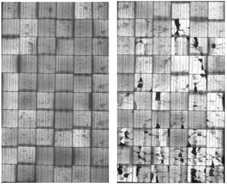 Figure 7: EL image of hail affected modules (left: almost intact, right: hardly damaged)