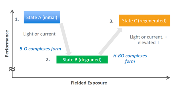 Performance as function of exposure time (Woodhouse et al., 2020)