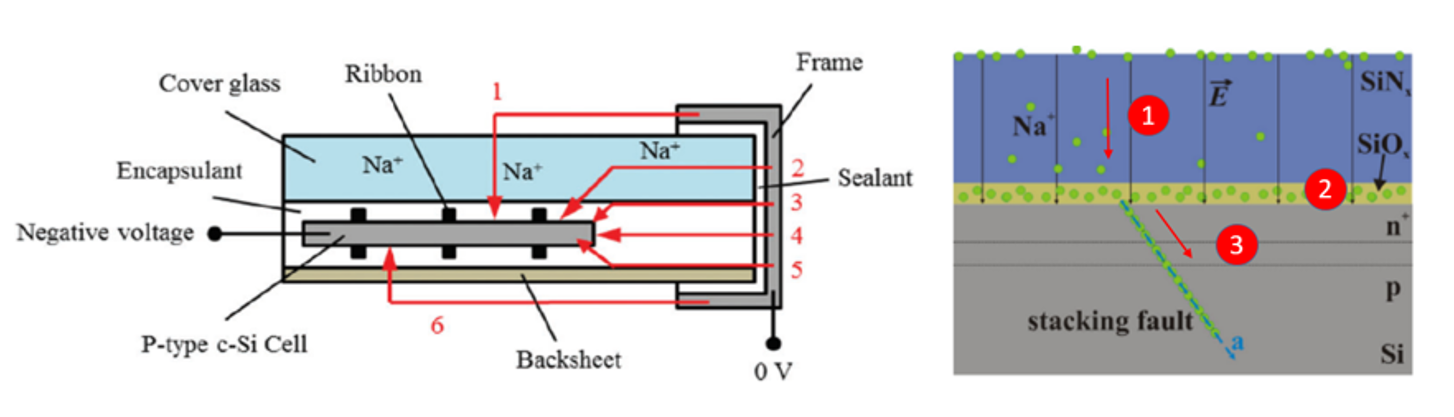 Figure 2: PID leakage current process [2], right figure is adapted to show the process steps